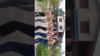 Raja Gelektiktok Viral