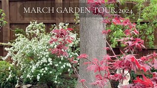 Texas Garden Tour March 2024 #northtexasgardening #zone8b #provenwinners