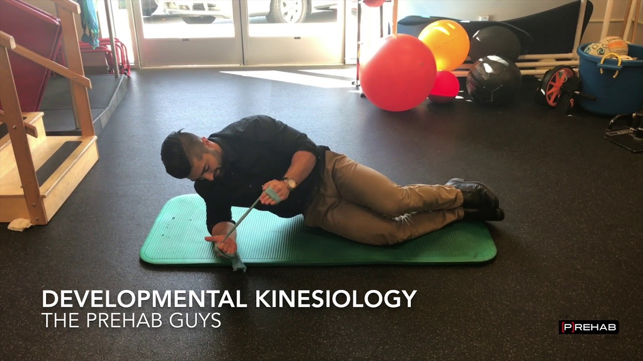Developmental Kinesiology YouTube