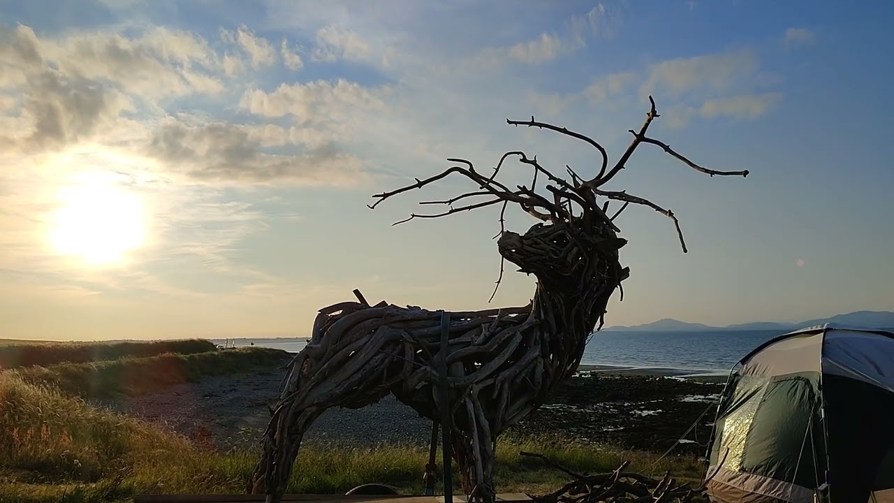 Salterstown stag..local artist unknown @Ireland my home