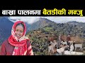       goat farming in nepal  baitadi  manju joshi bhatta