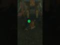 Fierce Deity Mask - Skull Lake Cave (Zelda TOTK) #zelda