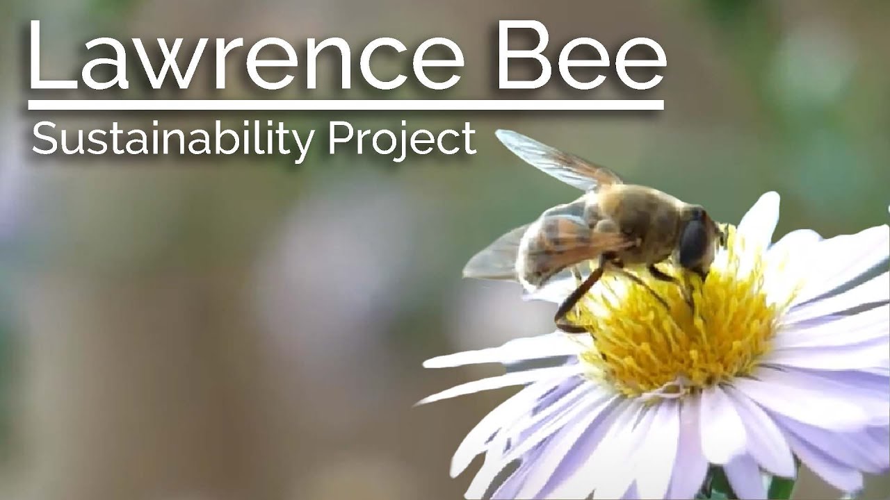 Lawrence Kansas Bee Sustainability Project