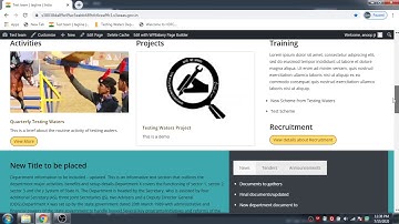 Customizing the identity of your S3WaaS-powered website