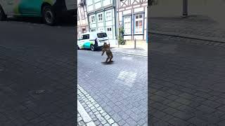POV: A ninja appears in the city