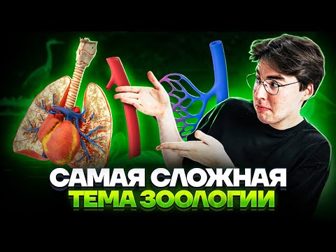 Самая сложная тема зоологии | Биология ОГЭ 2023 | Умскул