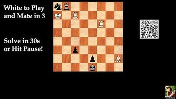 Computer-Generated Chess Problem 01847