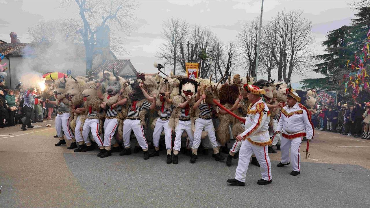 Kastav-doček Halubajskih zvončara