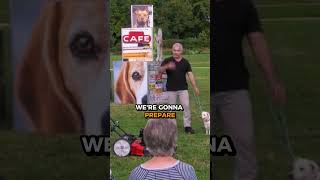 Training Calm Behavior Around Lawn Mowers