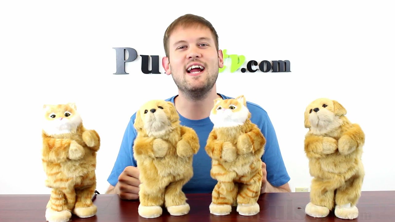 Party Animals: The Dancing Pet Speakers