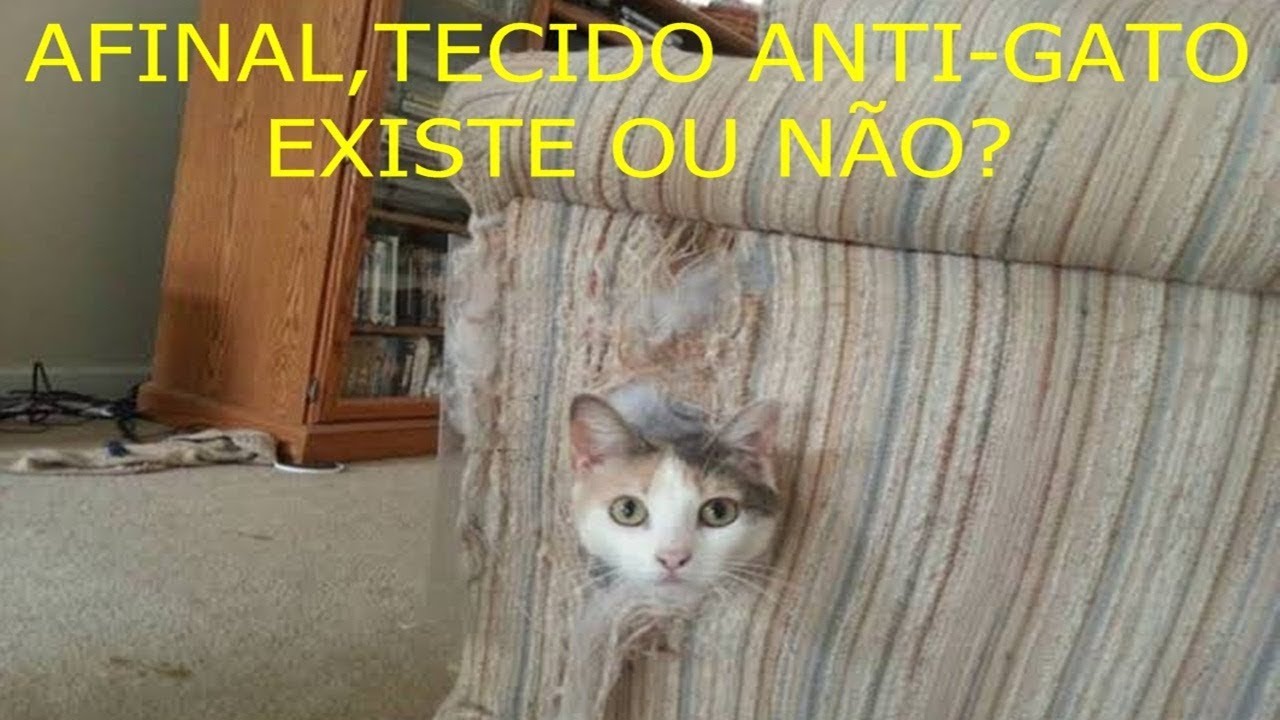 Jogo americano de PVC para gato preto conjunto de 1, gatos pretos fofos jogo  americano de vinil tecido resistente ao calor fácil de limpar tapete de  mesa de PVC lavável antiderrapante para