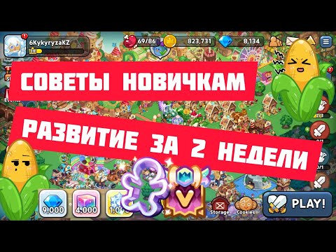 Советы Новичка --- 2 Недели Аккаунт Что Успел?? Cookie run: Kingdom