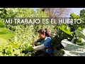 Mi trabajo es el Huerto | Aunque hagamos más, nuestro trabajo es Cultivar. #SiembradeTomates