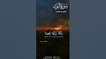 الله نور السموات والارض #آيات #قرآن #الذكر_الحكيم #تلاوة_خاشعة #ارح_قلبك #ارح_سمعك#malek_awad