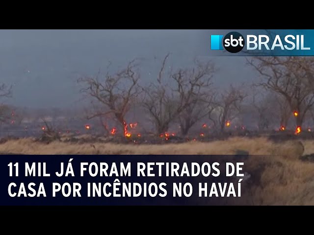 Incêndio no Havaí é o mais mortal dos EUA do século - SBT News