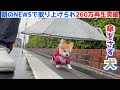 すれ違う人みんなに笑われるけど愛犬が快適ならそれでいいんです😅
