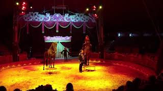 Showreel Circo E Shows Equestri 2018