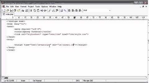 jQuery Tutorial   116   Show password plugin