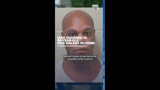Man charged with murder for carjacking that killed 80-year-old Seattle dog walker