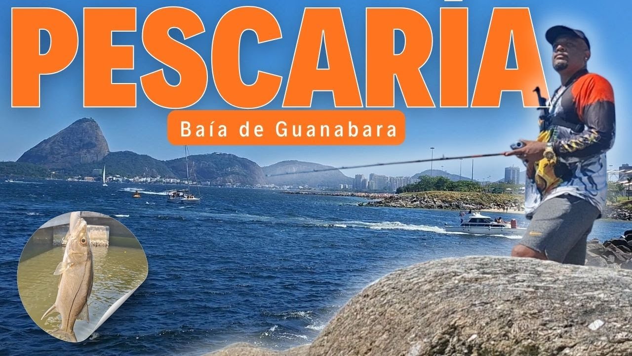 Pescando na Baía de Guanabara 🎣🌊#pescaria #pescaurbana #fishing  #pescariarj #pesca #baiadeguanabara