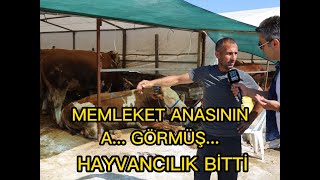 Memleket Anasının A... Görmüş Öportajları Ilık Ik