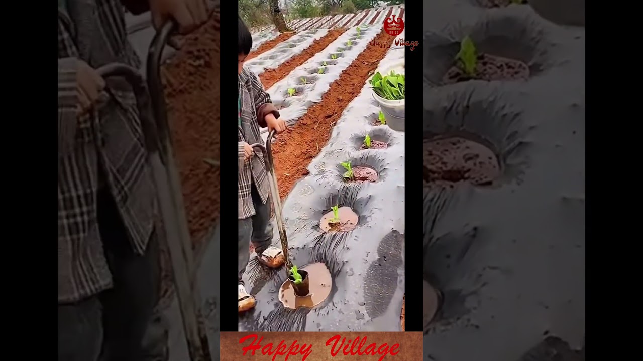Children use tools to help farmers with work.