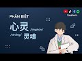 Ngữ Pháp Tiếng Trung: Phân Biệt 心灵 &amp; 灵魂 | Ôn Thi HSK Cùng Yangdexin.