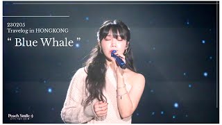 Download Lagu [4K] 230205 #정은지 -《 #BlueWhale 》韓中字幕 #Travelvlog in HongKong MP3