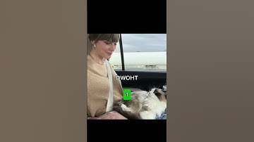 Guess the taylor Swift song by the acronyms || #lwymmd #taylorswift #taylorswiftdiscography #swiftie