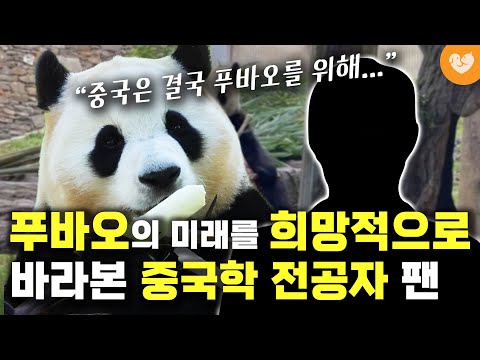 <strong>푸바오의</strong> 미래를 희망적으로 바라본 중국학 전공자 팬