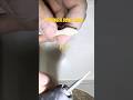 Carving a bone snake. Adding the scales texture #bone #bonecarving #madeinscotland #snake