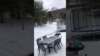 Kid rides snow tube down hill in front of house and crashes into tree