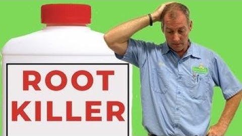 Does Root Killer work?  -  Let