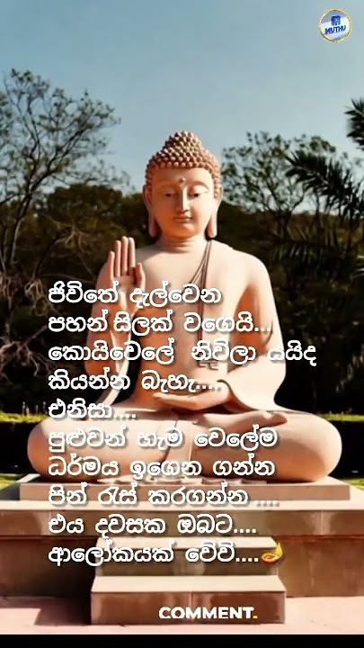 මෙහෙම කරන්න වරදින්නෙ නෑ✍️Shorts #life #motivation