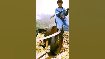 The process of crushing sugarcane is shared-Good machinery makes the work more efficient