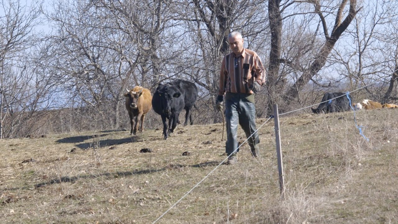 Животновъд: Държавата ни кара да сме нарушители за дреболии