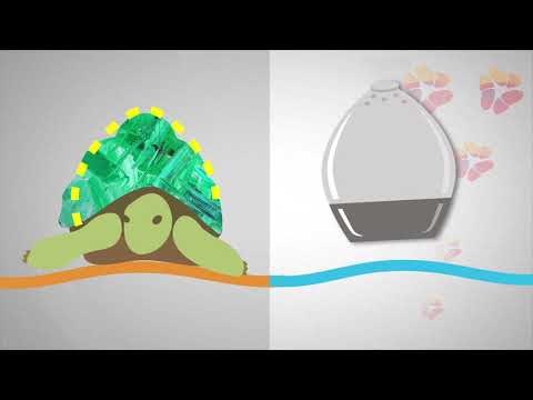 MIT/HMS: Tortoise-shell-mimicking Drug Delivery Device