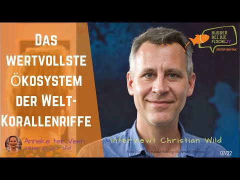 Sind KORALLENRIFFE noch