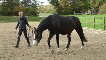 Video Critique: Linda and Regitse Submission 1