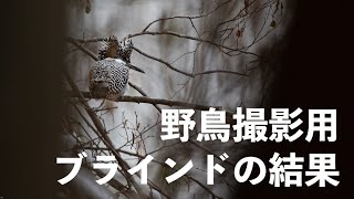 野鳥撮影用ブラインドの結果 Youtube