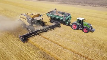 Harvest 2023 Wheat and Soybeans | Schwarz Farms | Manitoba, Canada | Claas Lexion 8700 Fendt 1050