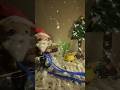 Happy christmas #shorts#viral #xmas #christmas #yoys #cat#christmassong #santali #christmas