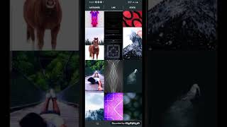 How To Set Wallpaper