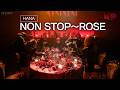 HANA - NON STOP～ROSE | MUSIC AWARDS JAPAN 2026