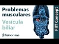 Vesícula biliar - Problemas articulares y musculares que puede provocar