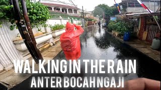 WALKING IN THE RAIN.AKTIVITAS SI ADOEL SAAT SORE HARI