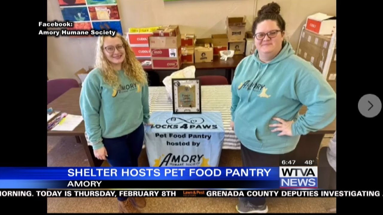 Amory Humane Society hosts pet food pantry YouTube