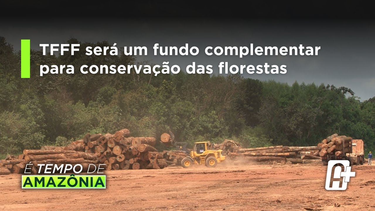 Fundo de florestas tropicais para sempre será um fundo de investimento para preservação