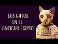 😻 😼 😽 Los GATOS en el antiguo Egipto ¡Miau! 😻 😼 😽 | Dentro de la pirámide | Nacho Ares