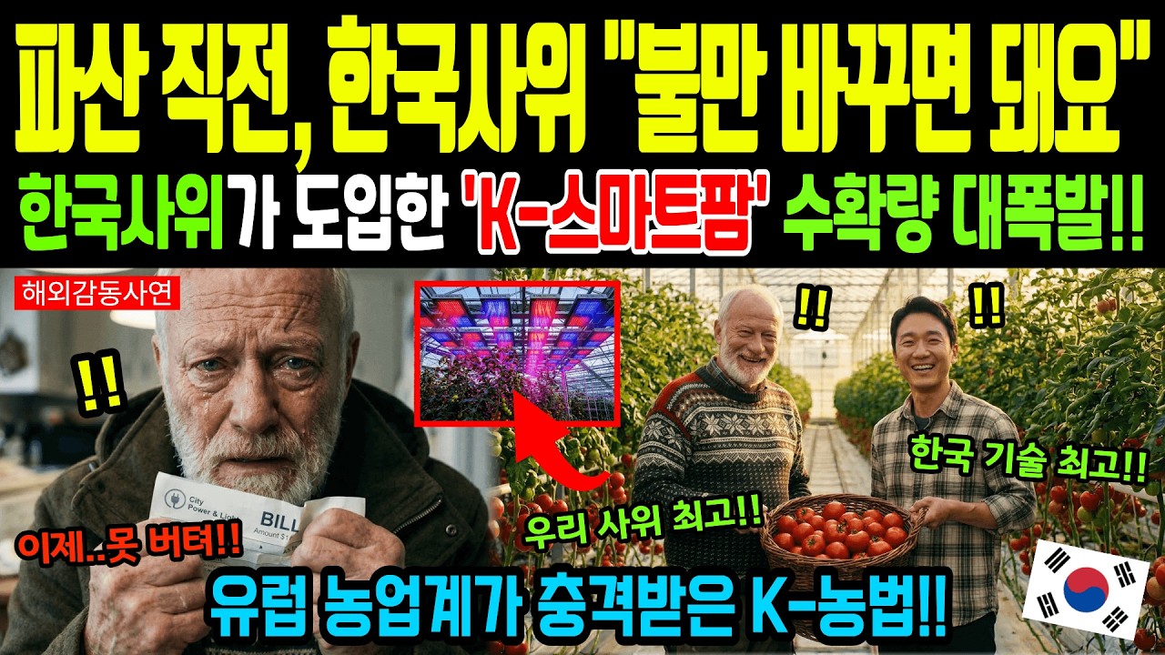 [해외감동사연] 